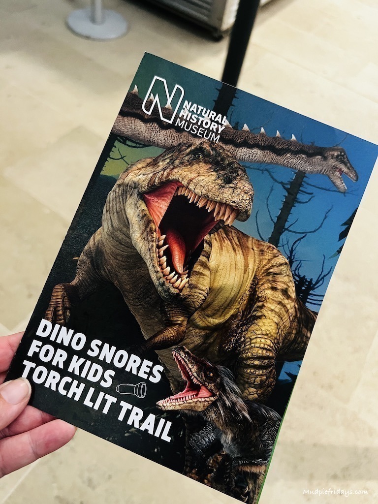 The second activity at Natural history museum dino snores - a torchlit trail