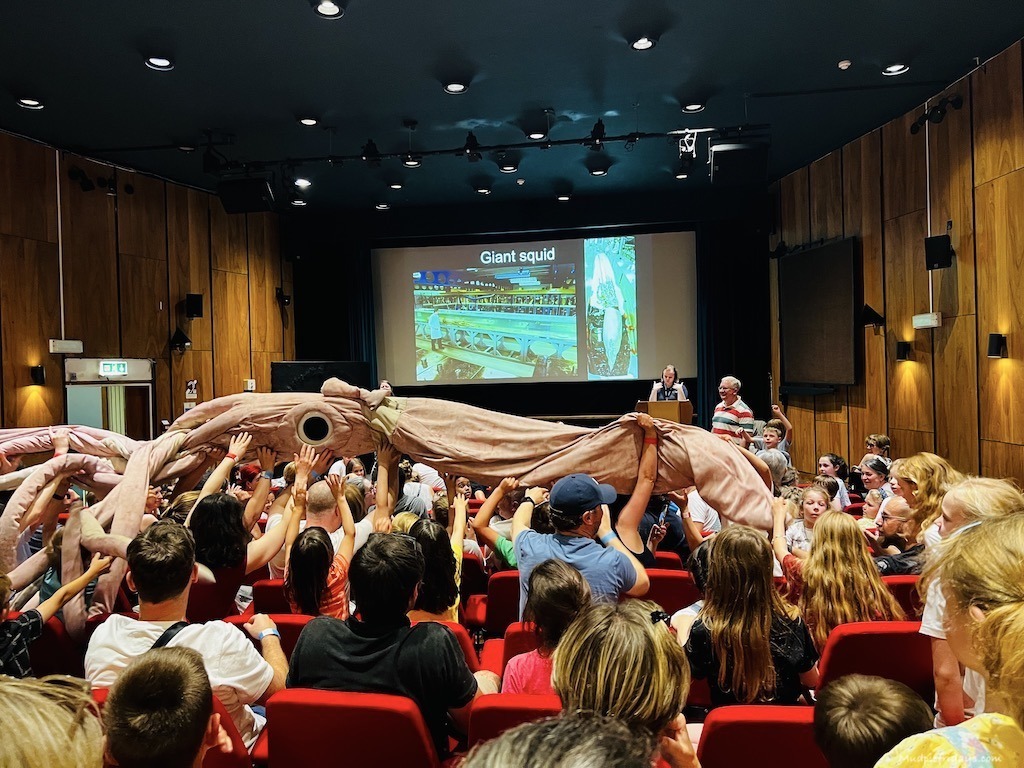 A giant squid being passed over the heads of attendees of the science show