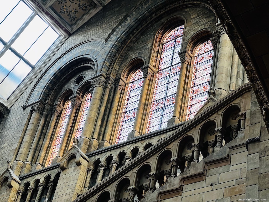 The sunlight coming through the stained glass windows in the morning when we woke up after staying at the Natural History Museum sleepover