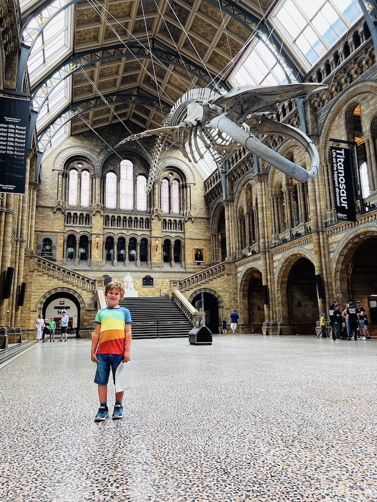 Harry standing under the blue whale skeleton in an empty Natural History Museum