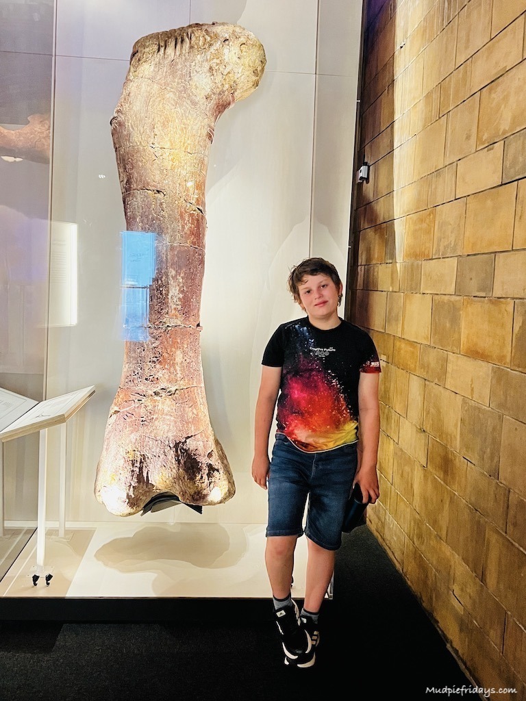 Charlie standing next to the femur of the titanosaurus at the dinosaur museum in london