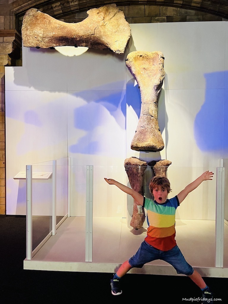Harry standing next to the bones of the titanosaurus at the dinosaur museum in london