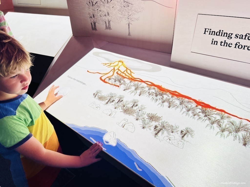 Interactive element of the exhibition at the Natural History Museum