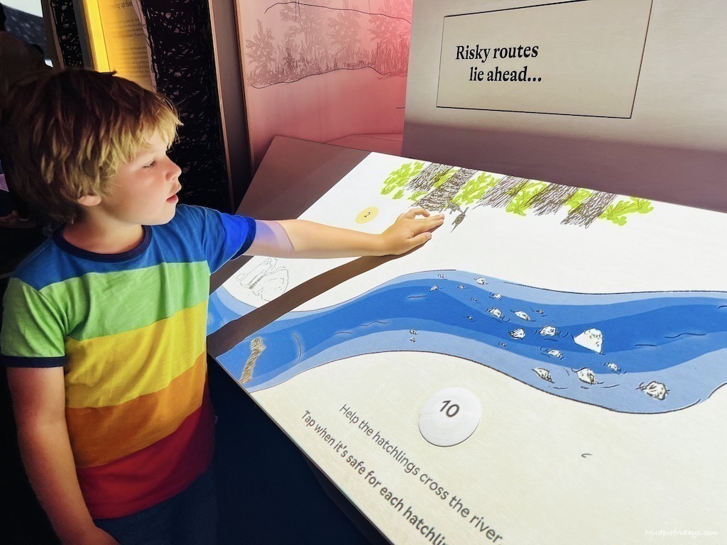 Interactive element of the exhibition at the Natural History Museum