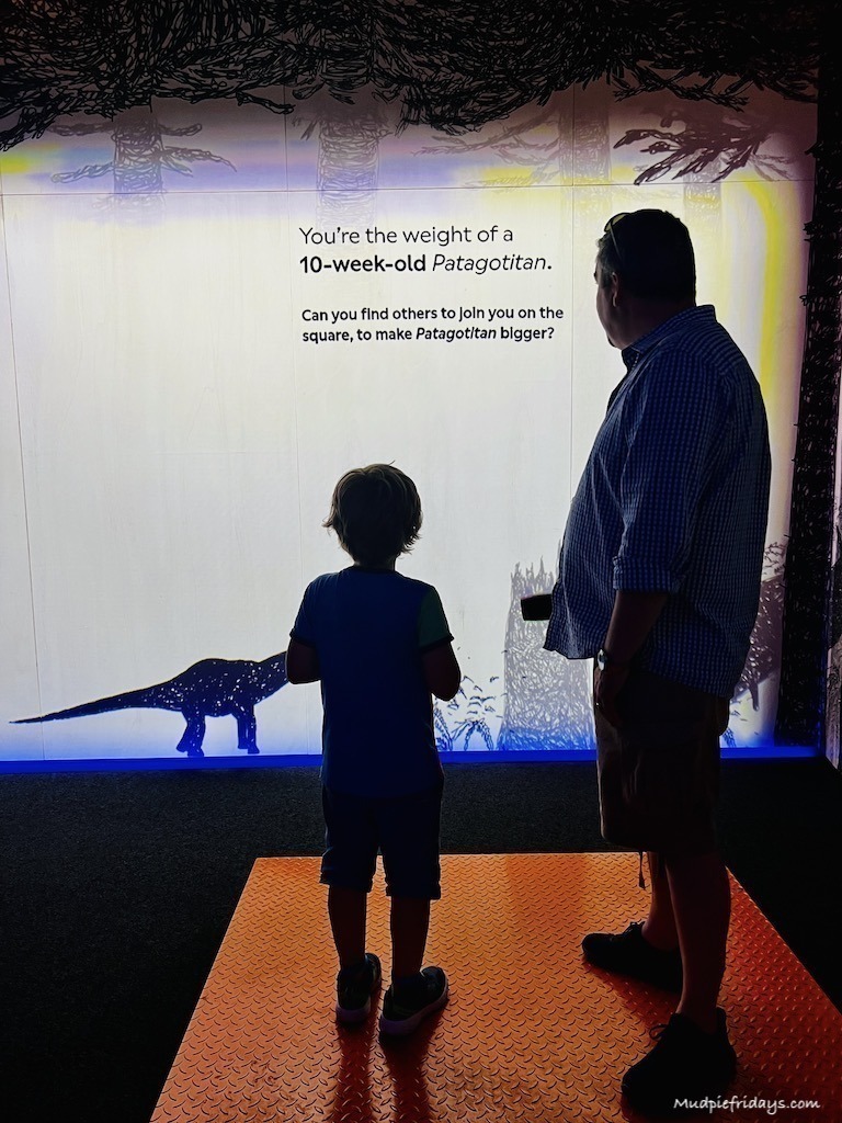Interactive element of the exhibition at the Natural History Museum