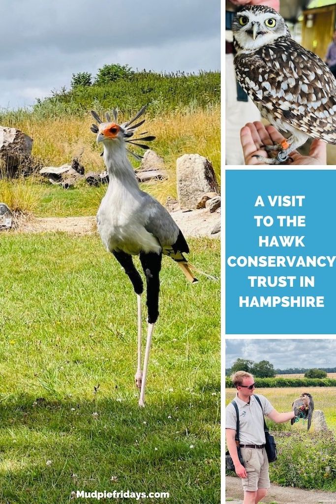 A visit to the Hawk Conservancy Trust in Hampshire and owl experience