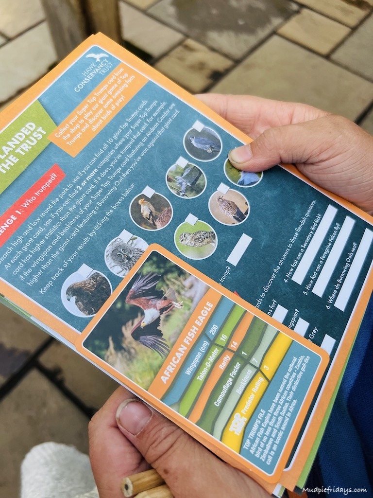 The top trumps trail with all the birds that you can spot and play against