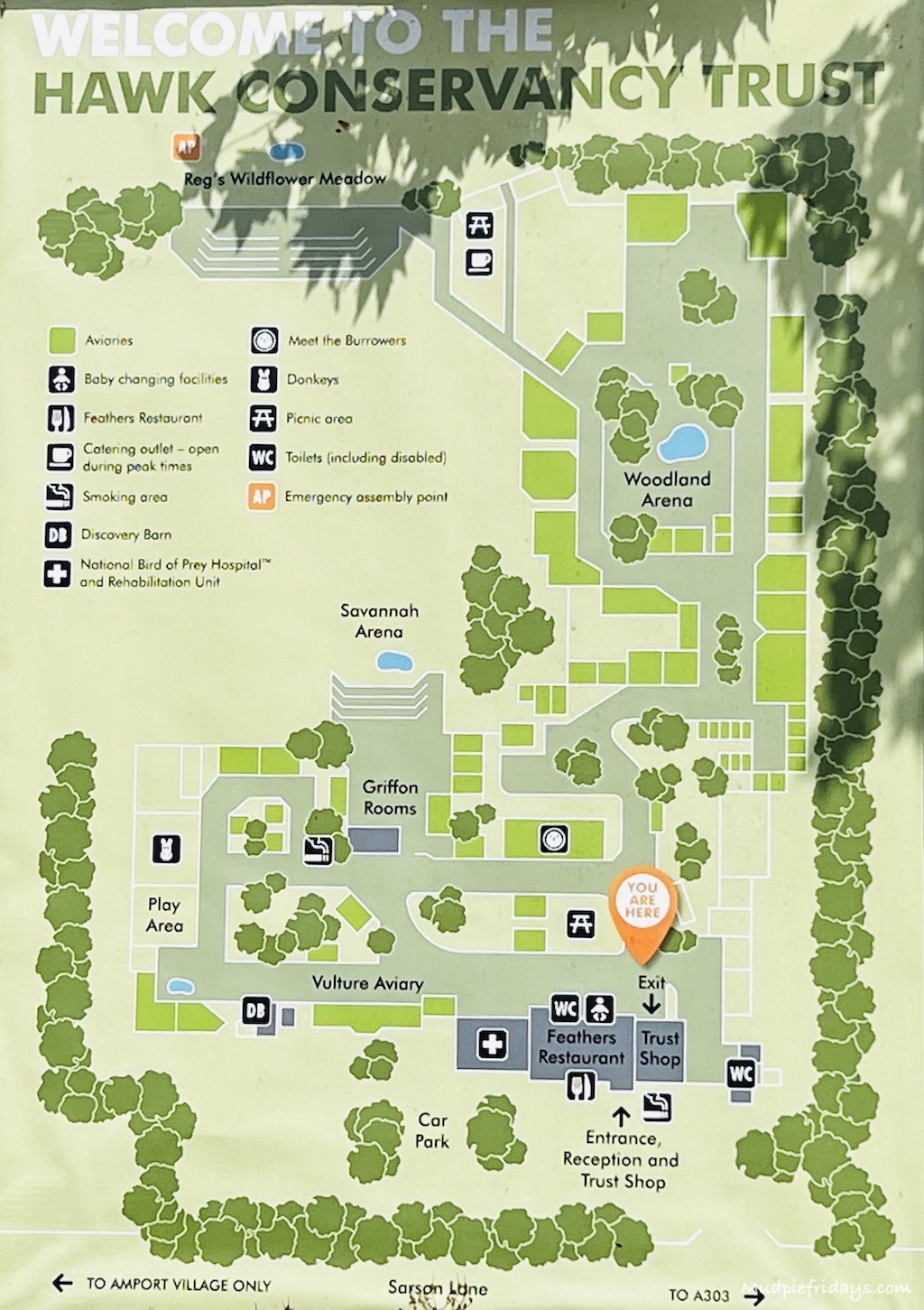 A map of the A visit to the Hawk Conservancy Trust in Hampshire