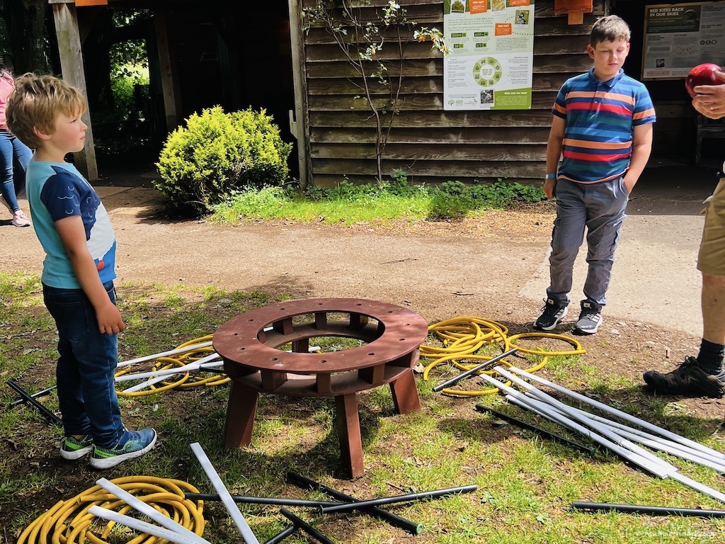 The boys getting ready to try their hand at nest building at the Hawk Conservatory