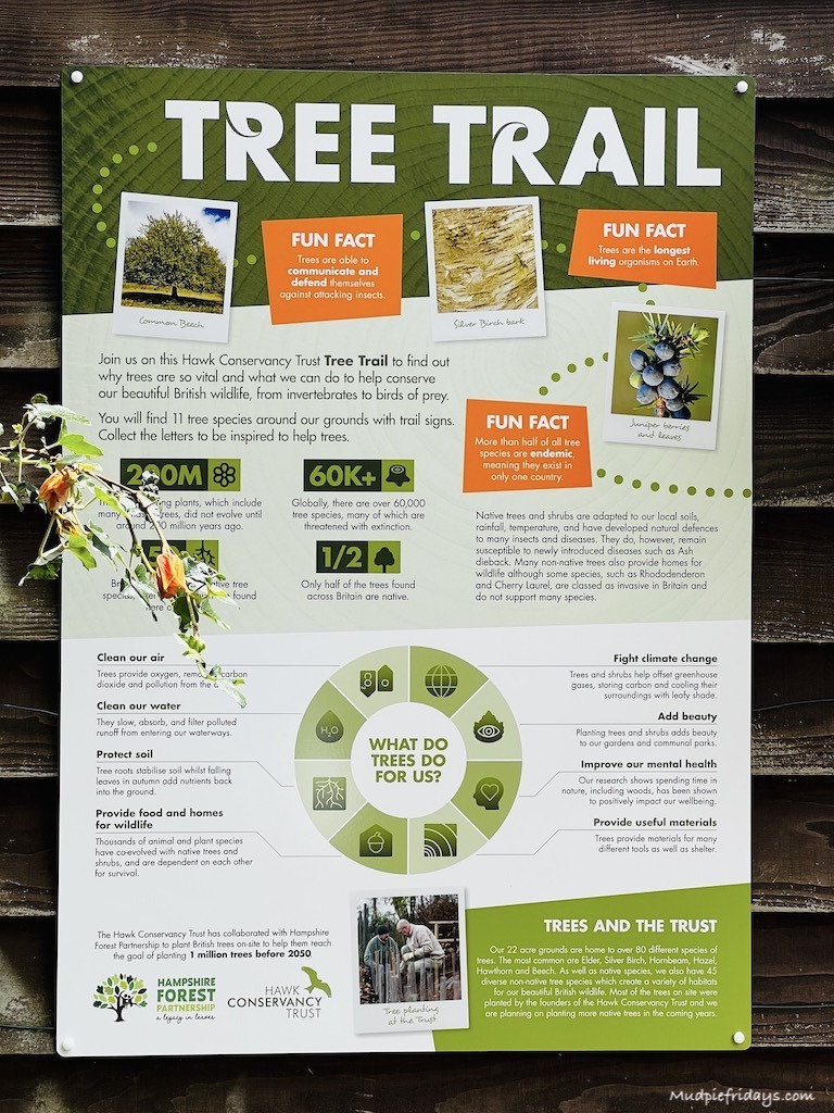 Information on the new tree trail at the Hawk Conservancy