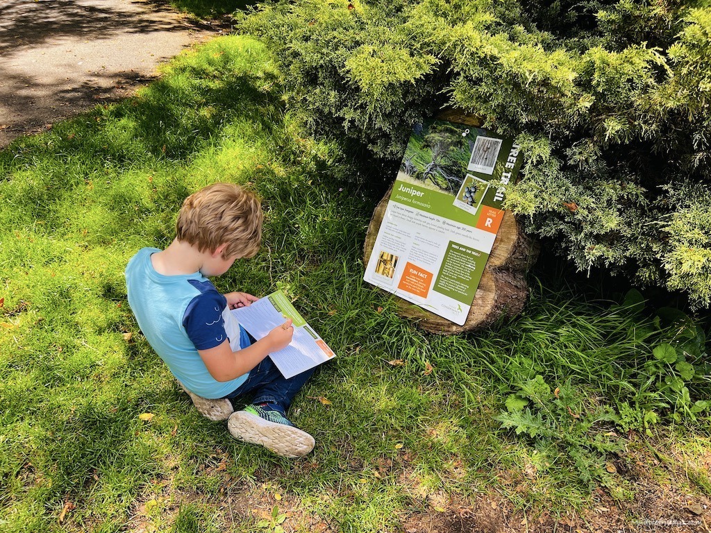 Harry trying out the new tree trail at the Hawk Conservancy Trust