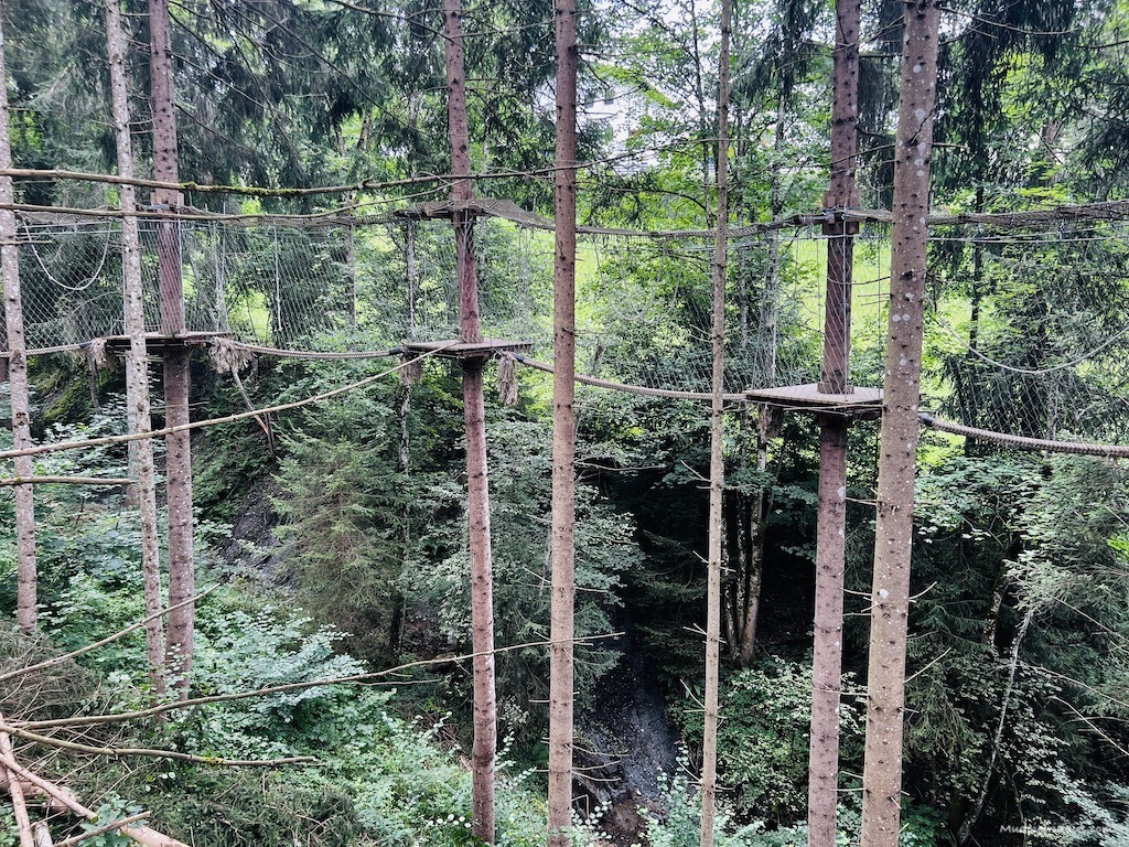 The tree trail in the woods in St JOhann Salzburg Austria