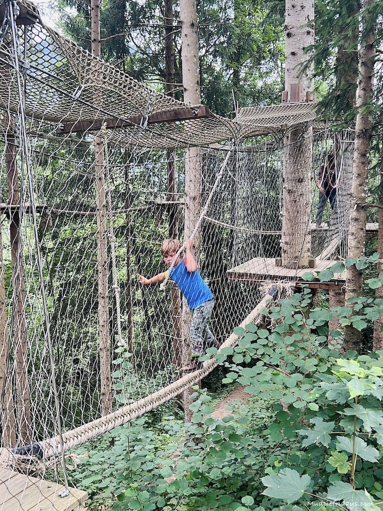 Harry playing in the trees