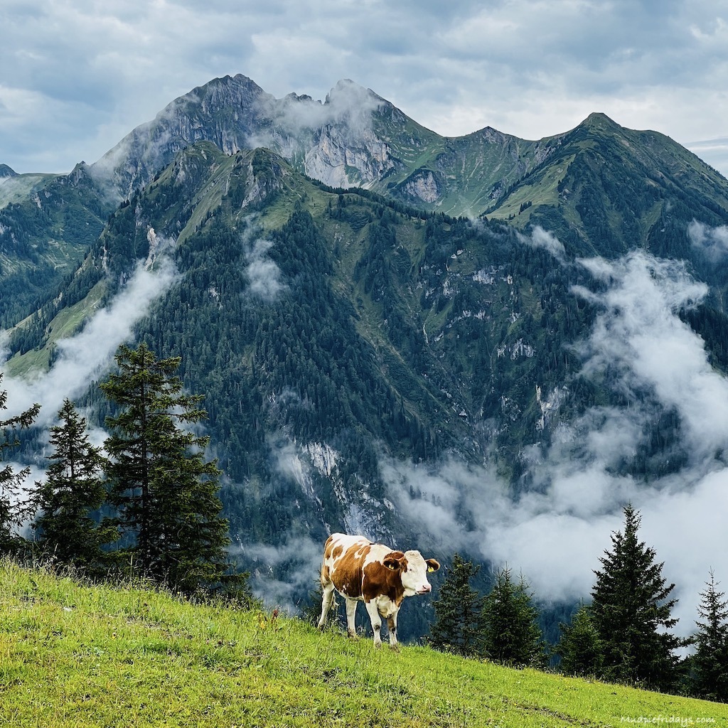 3 Night Summer Itinerary in St JOhann Salzburg Austria