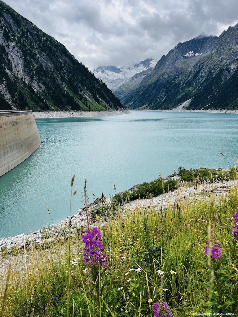 Schlegeis Stausee Reservoir and Dam, picture of the reservoir with some pink flowers