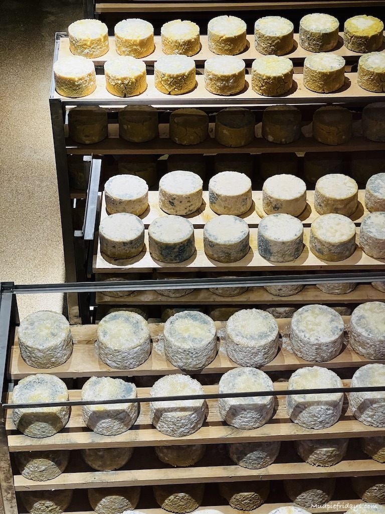 The cheese in the storing racks at the Charlie with an audio guide listening to the erlebnis sennerei Zillertal