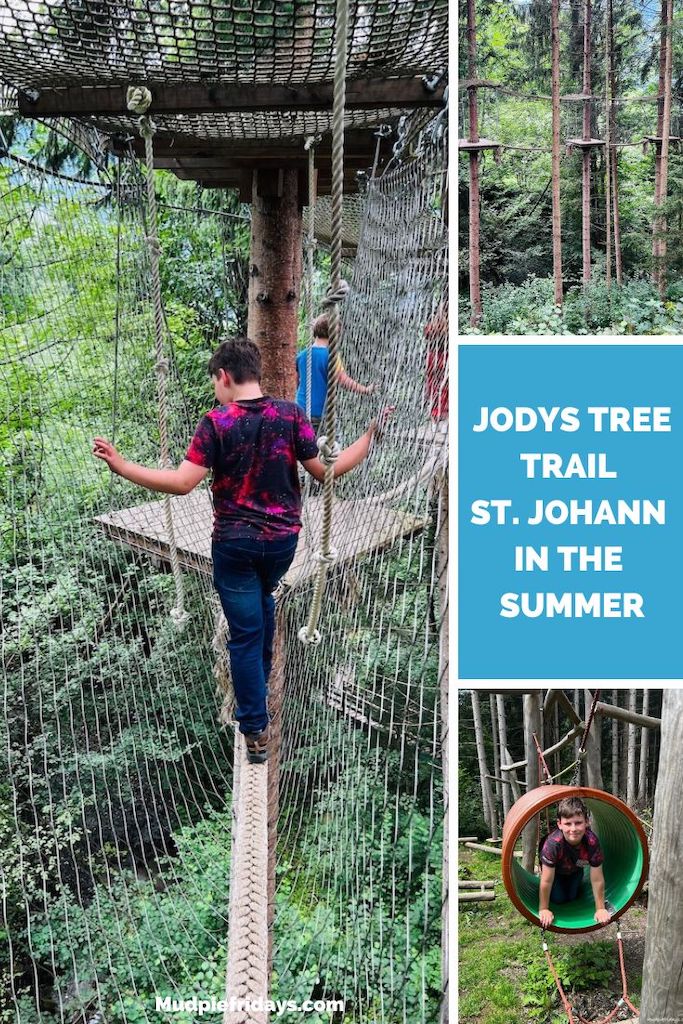 JODYs Tree Trail St. JOhann in the Summer