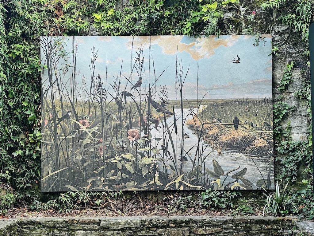 The photo festival at La Gacilly Brittany