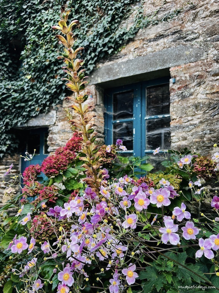 Cute Brenton stone buildings along narrow streets covered in flowers