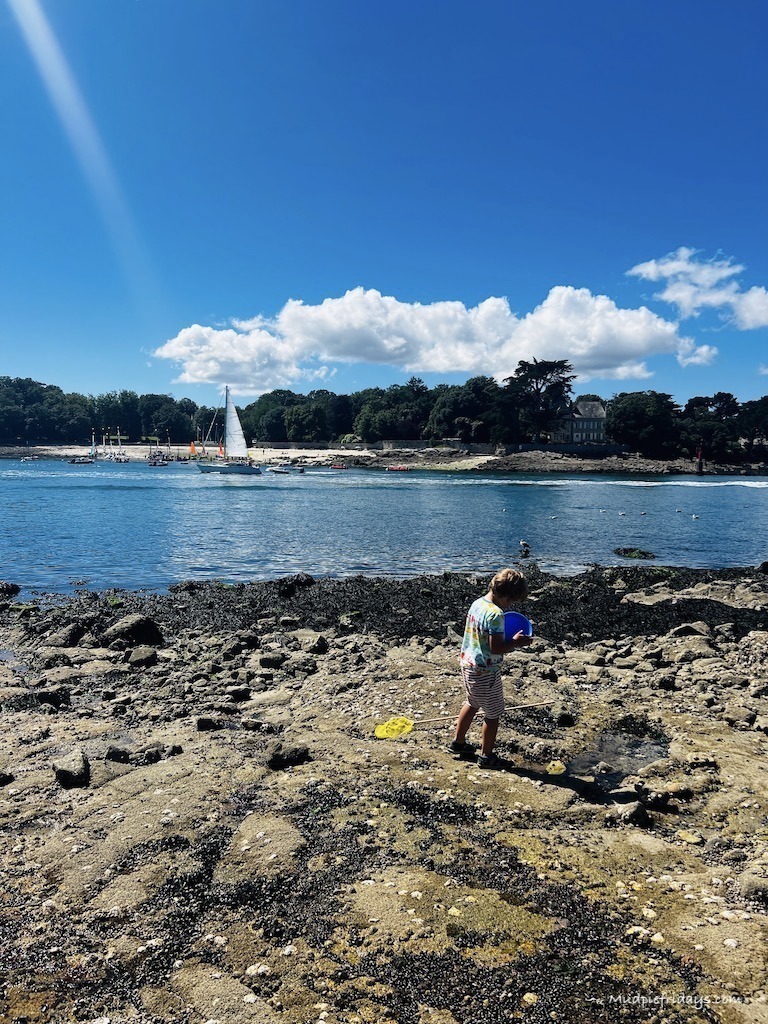 Harry on the beach in Benodet - rock pooling in brittany