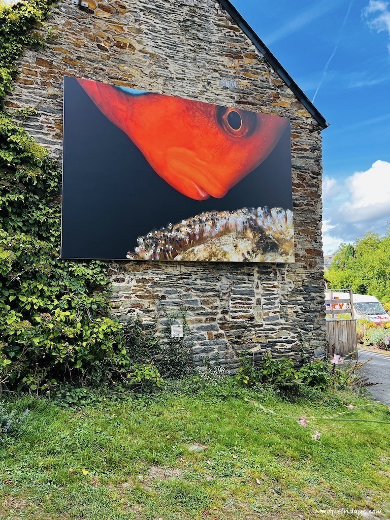 The photo festival at La Gacilly France
