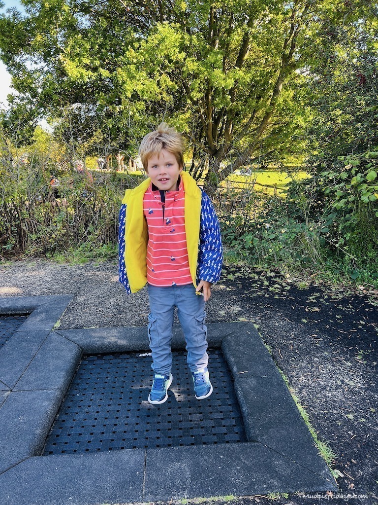 Harry on a mini trampoline