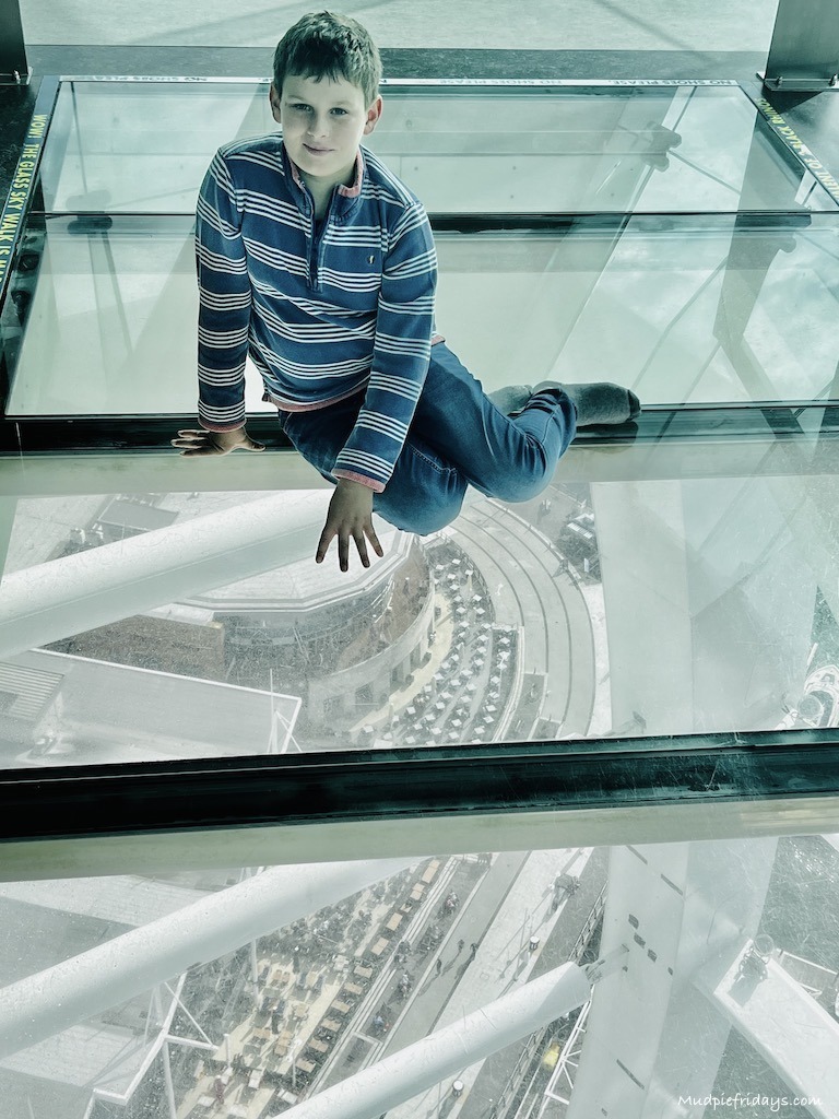 Charlie sitting on the glass floor