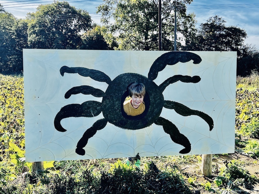 Harry posing through a board with a spider painted on it
