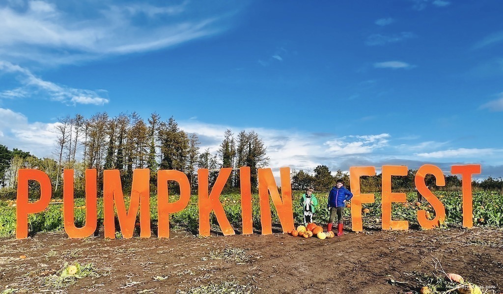 The large bright orange pumpkin fest sign which is in the middle of the pumpkin field