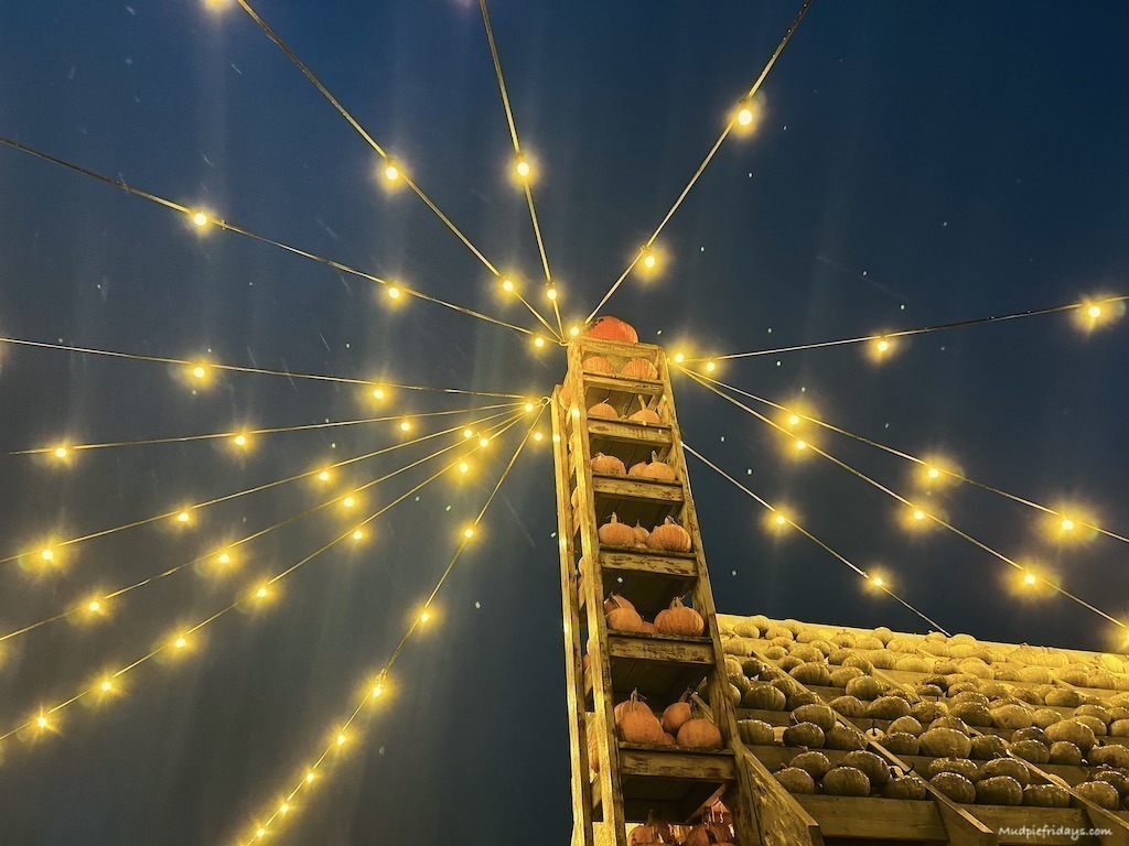 The centre of the pumpkin village all lit up