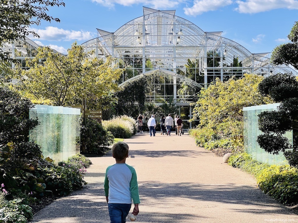 The glasshouse at Wisely gardens