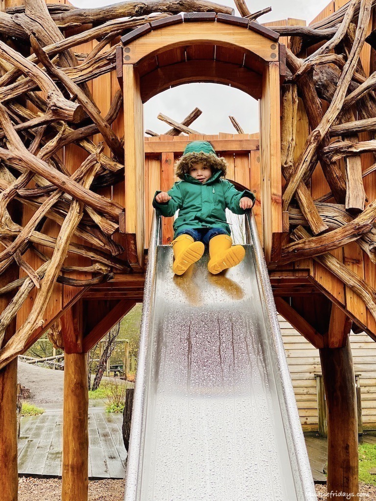 Harry on the slide in the play are at RHS Wisley gardens