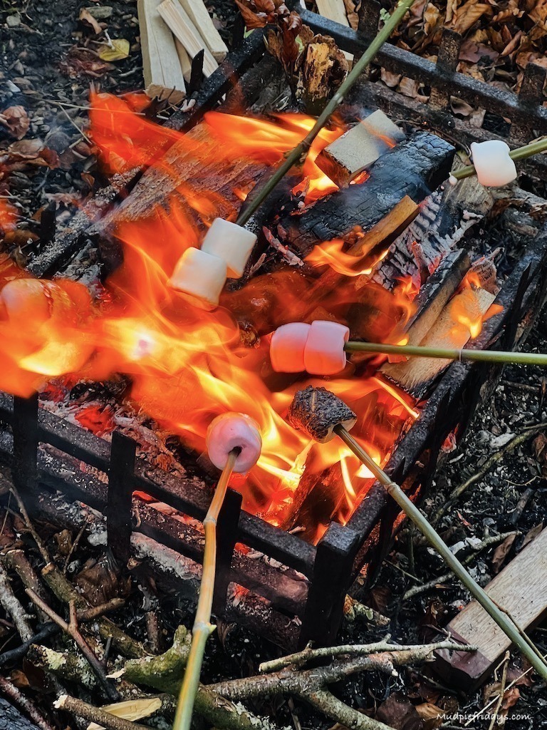 Toasting marshmallows on the campfire at Glynn Barton Cottages Review