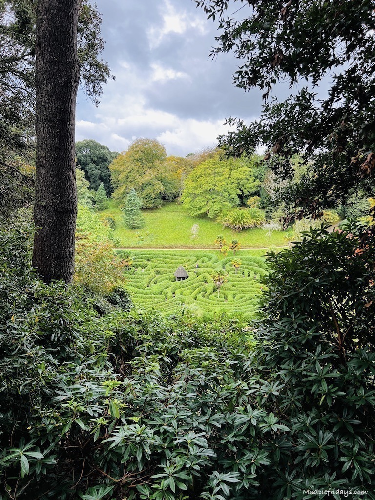 Glendurgan Maze from the look out point at National Trust Geldurgan Gardens in Cornwall