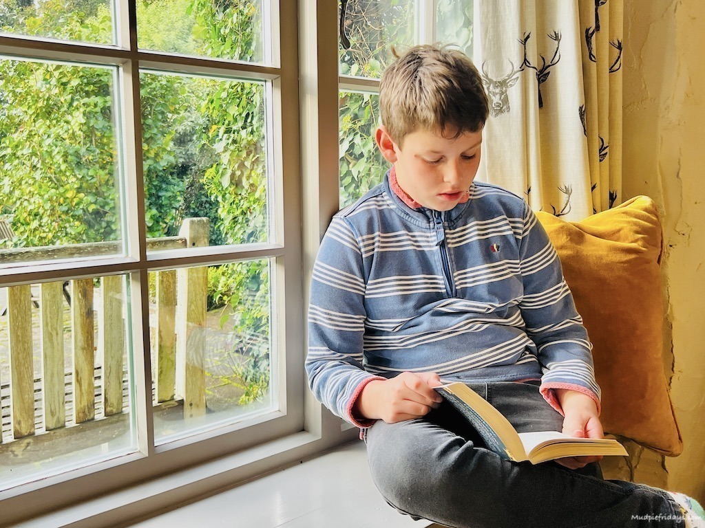 Charlie reading a book in the window with the sun coming into the room