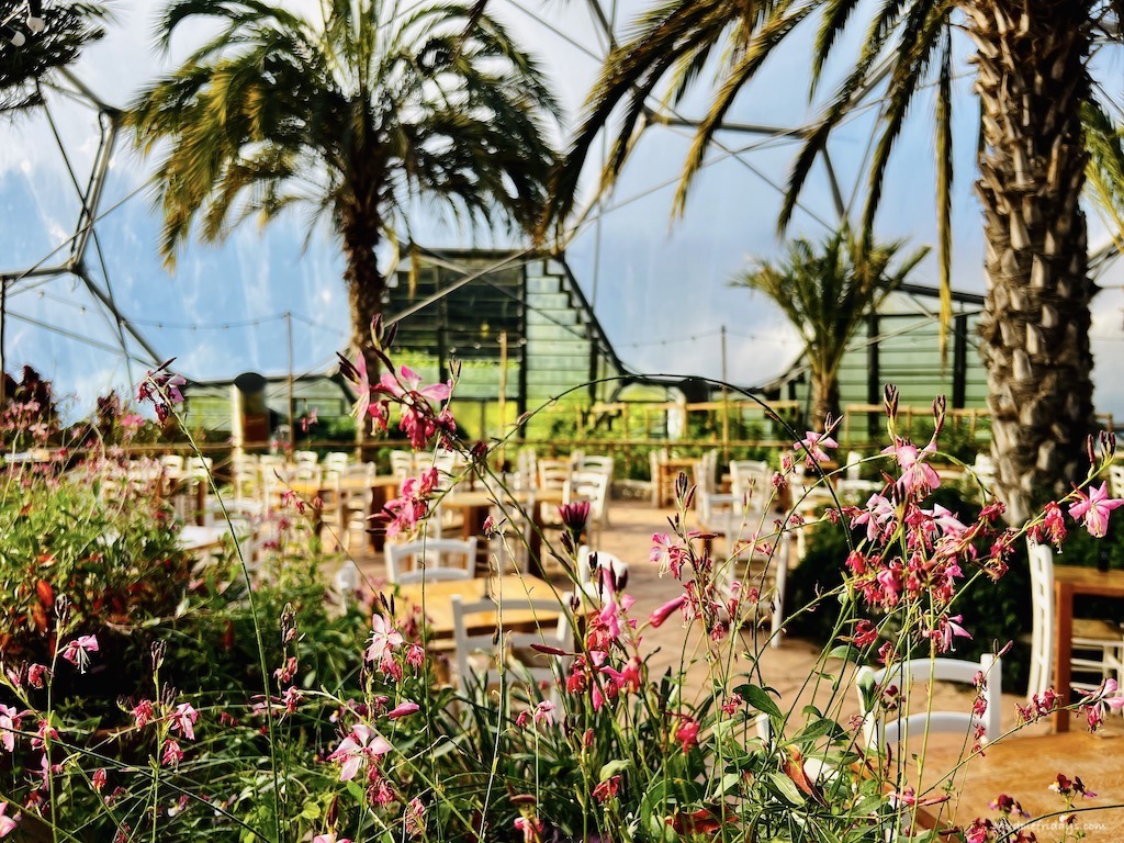 Med Terrace which is in the Mediterranean Biome at the Eden Project