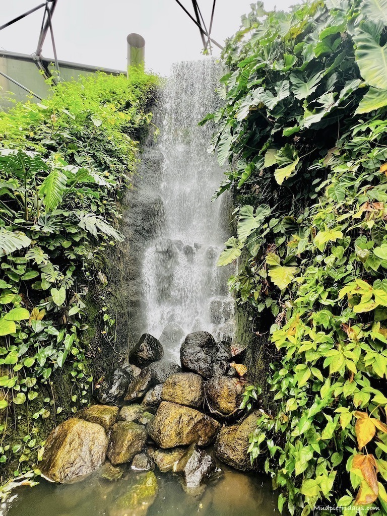 The waterfall inside the rainforest biome at the Eden Project
