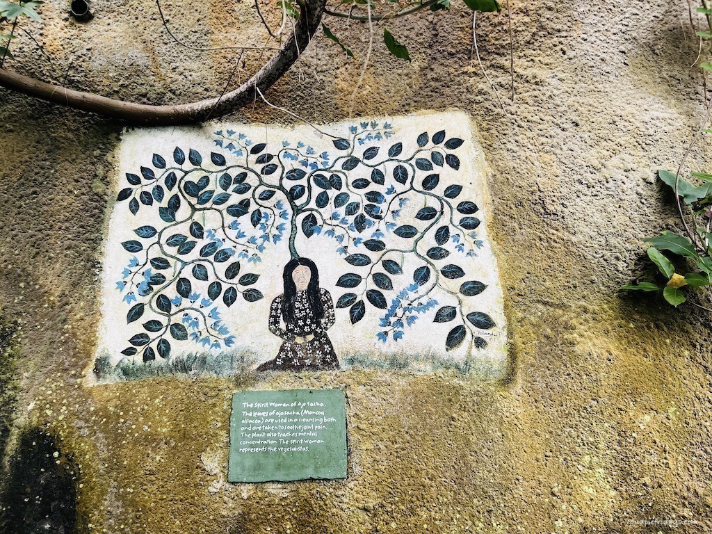 some art work on the wall in the Rainforest Biome