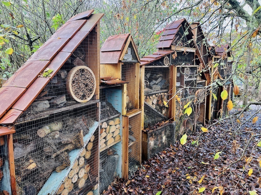 the biggest bug hotel I have ever seen