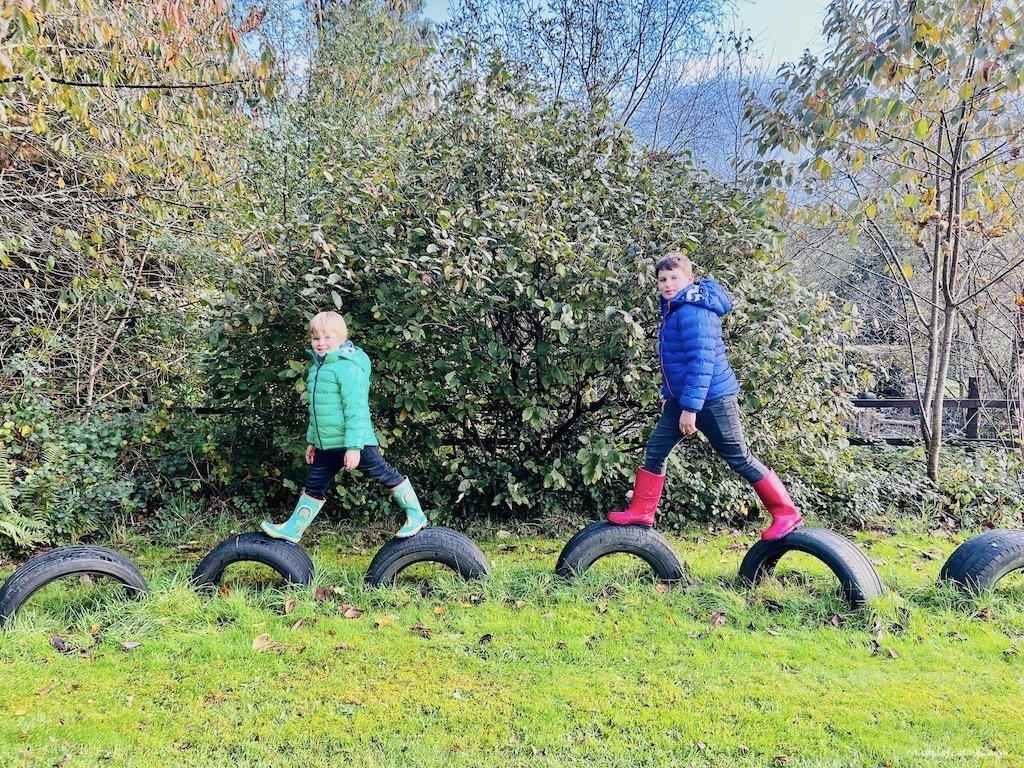 The boys on tyres in the playarea