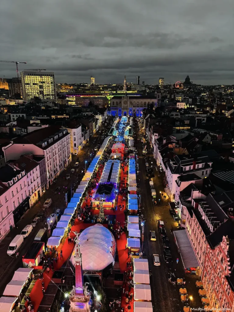 Views from the ferris wheel in Brussels Belgium