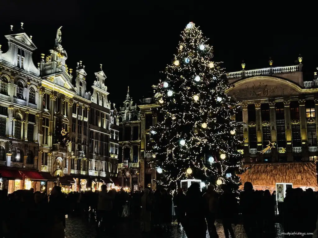 The grote markt all lit up with the Christmas tree in Brussels