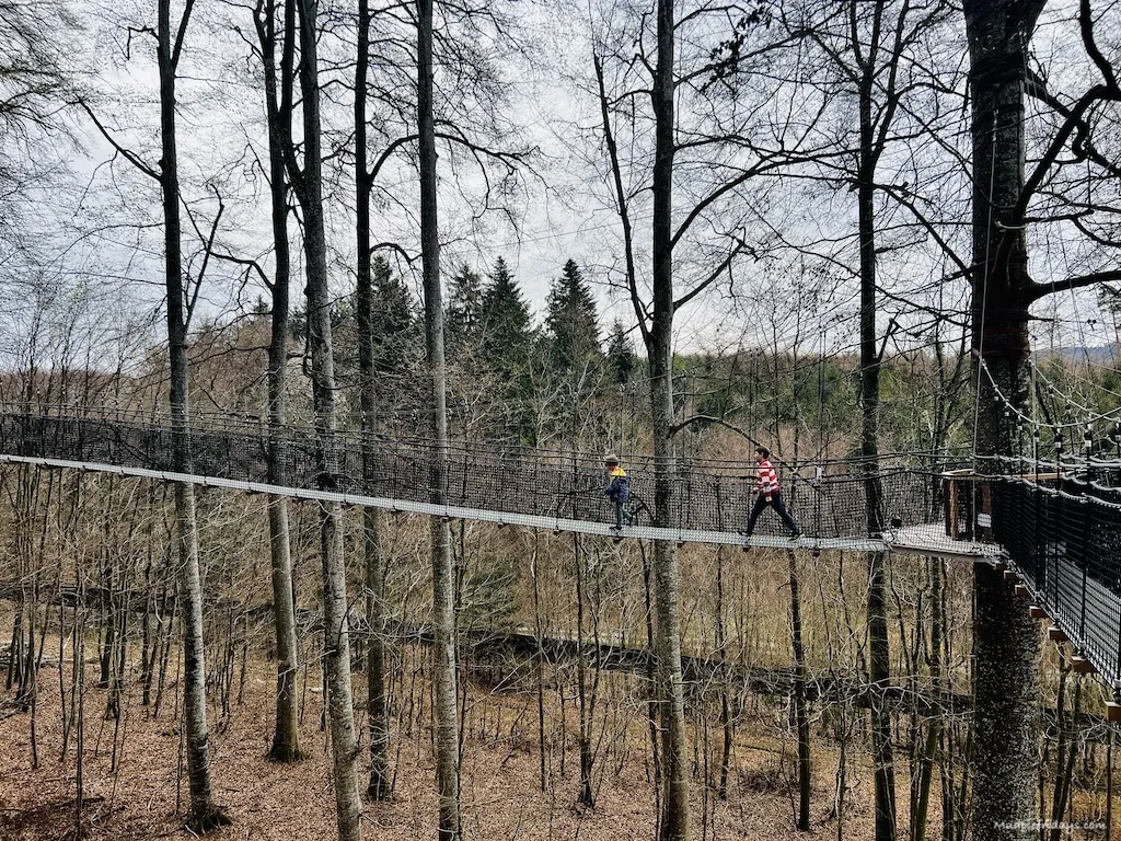 The tree top walk with monkeys below and the skies above.
