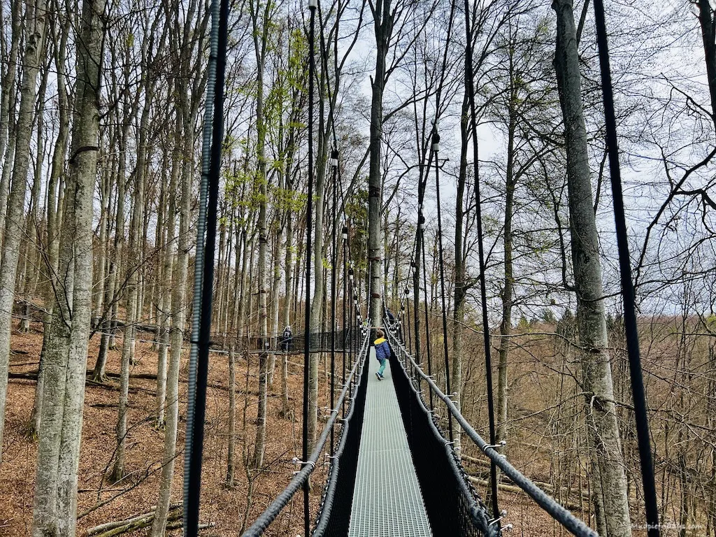 The tree top walk, harry walking along the suspended metal platforms