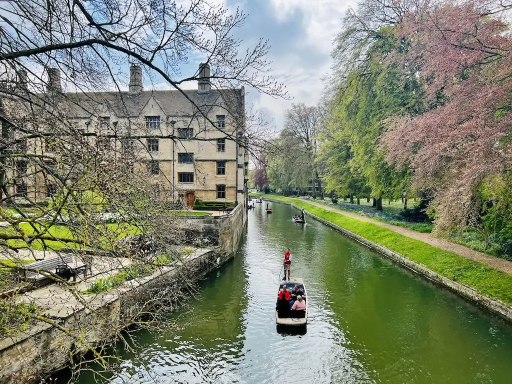 The backs in Cambridge overlooking the river cam with punts, the old college buildings and spring flowers