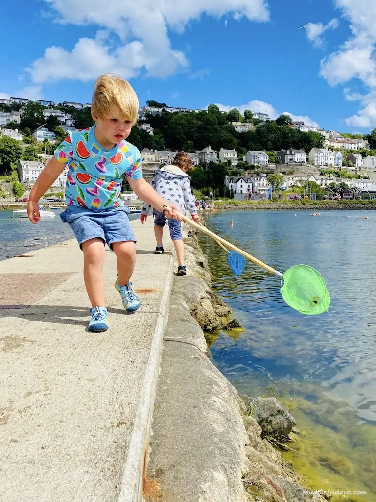 Harry with a net pond dipping while at the seaside in cornwall