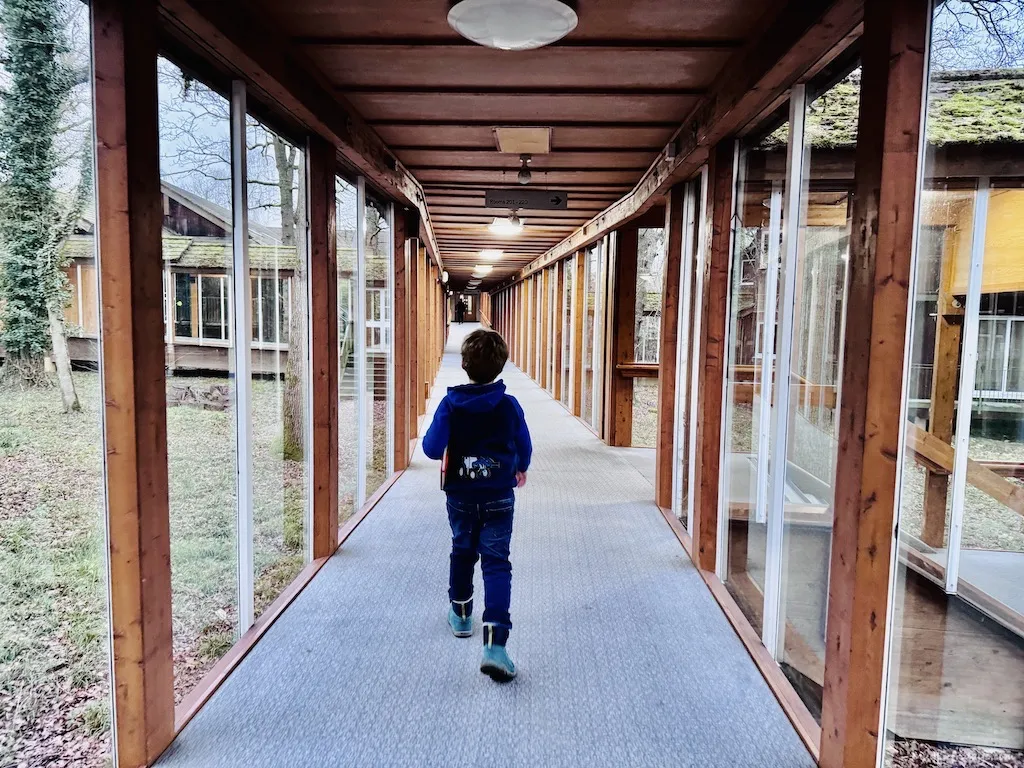 Harry walking down the glass corridors of the hotel in amongst the woodland