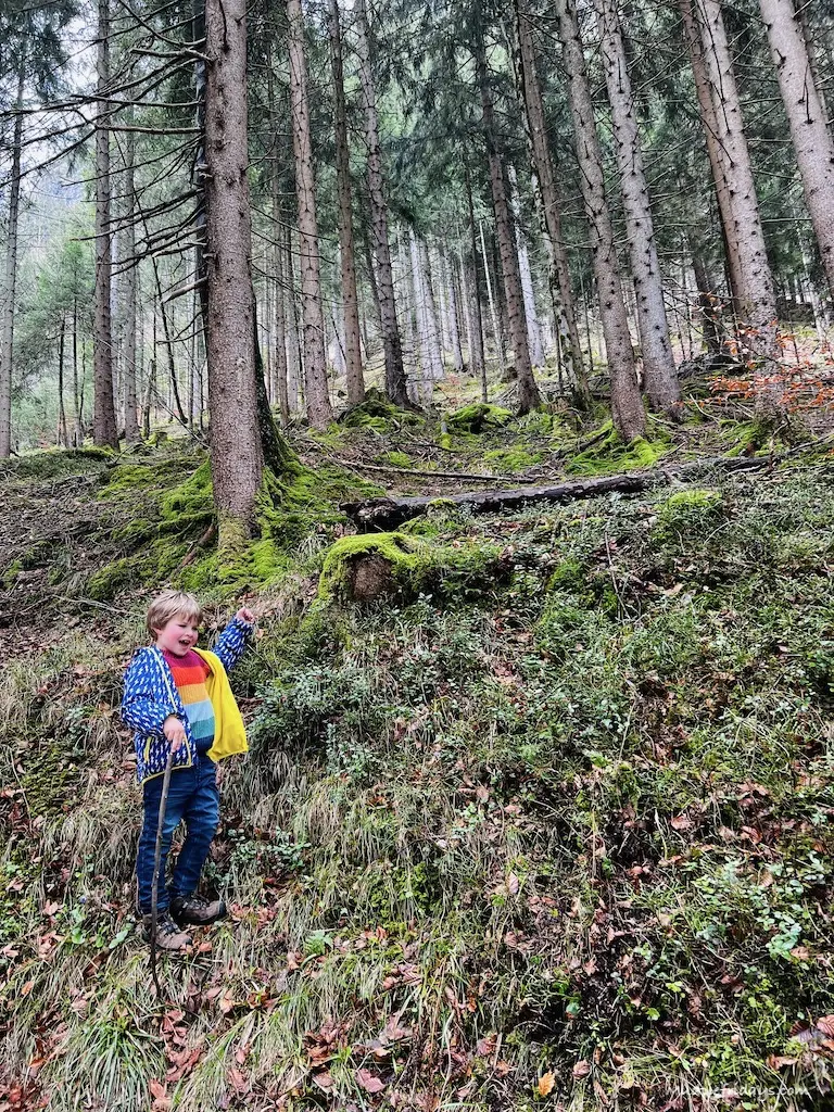 Harry in the woods as he walked down the hill