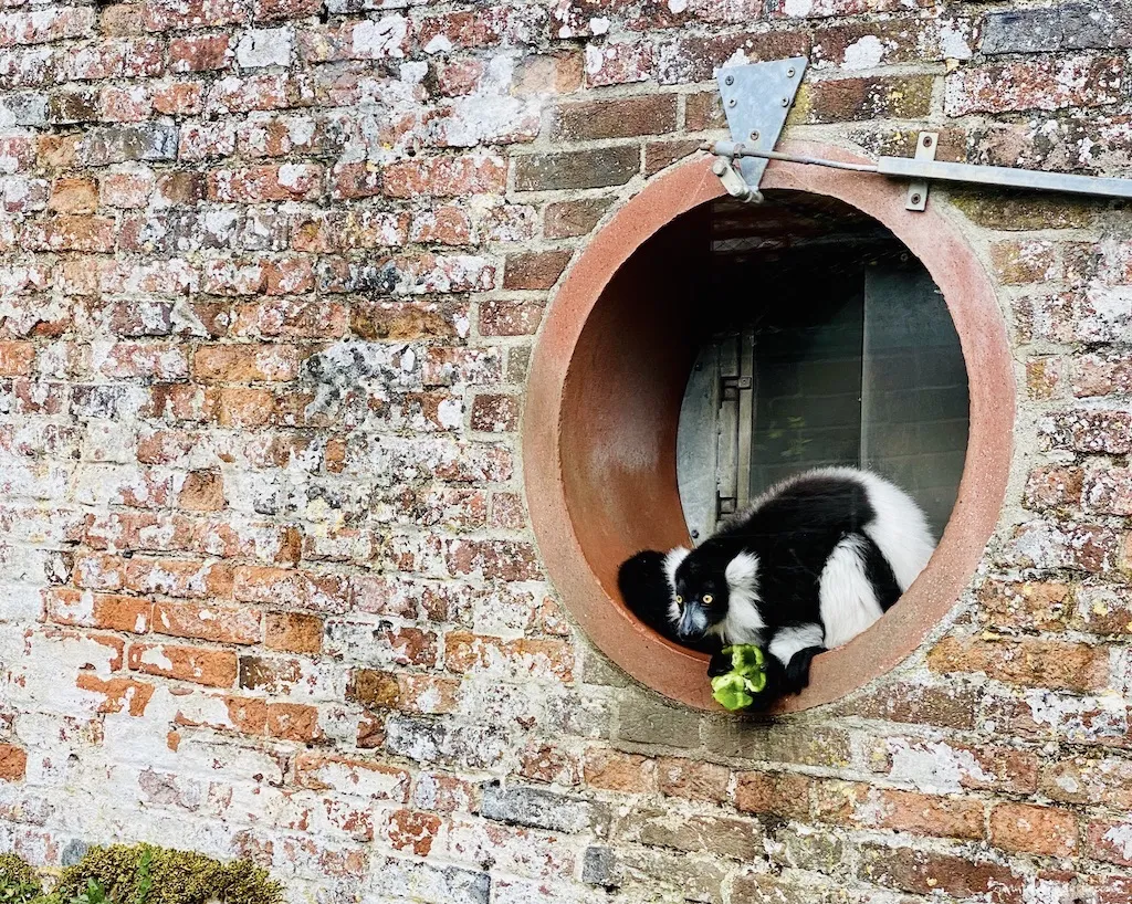 Marwell Zoo in Winter Top Tips For A Visit