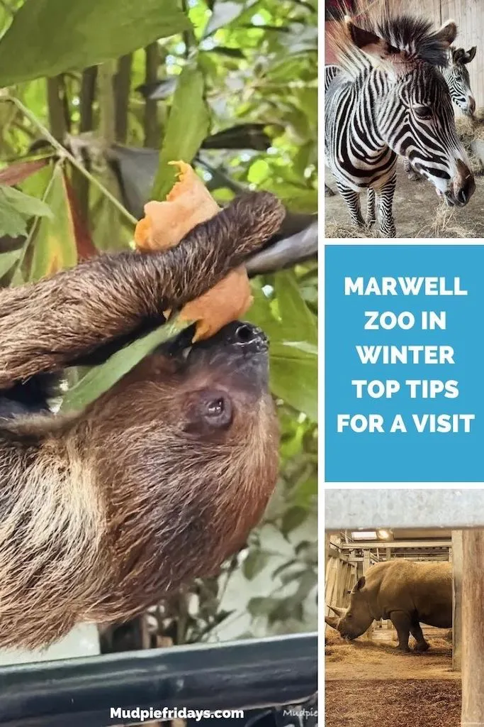 Marwell Zoo in Winter Top Tips For A Visit